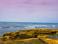 La Jolla beach 