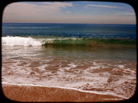 La Jolla beach 