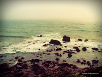 La Jolla beach 