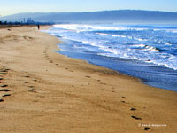 La Jolla beach 