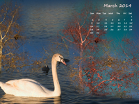calendar wallpaper