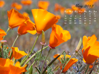 May Calendar