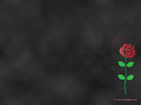 Rose wallpaper