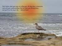 life quote by Richard Bach