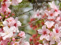 Acknowledging the good that you already have in your life is the foundation for all abundance. -Eckhart Tolle