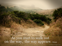 As you start to walk out on the way, the way appears - Rumi