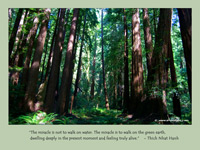 Wallpaper: life quote by Thich Nhat Hanh