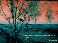 motivational quote on wallpaper- Let the beauty of what you love be what you do. - Rumi 