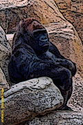monkey